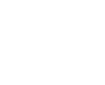 LOGO EVS DISTRIBUTION